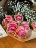 6 x Pink Roses