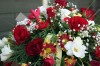 Coffin Spray 'Red, White & Primrose'